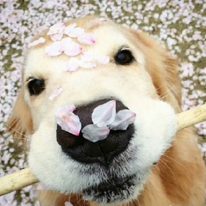 一级A片在线观看播放
