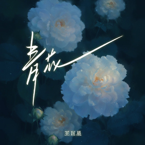 一级A片在线观看播放
